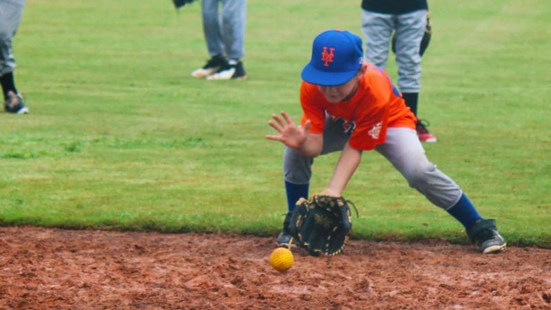 Baseball Fielding Lessons The Farm System Davie Fl