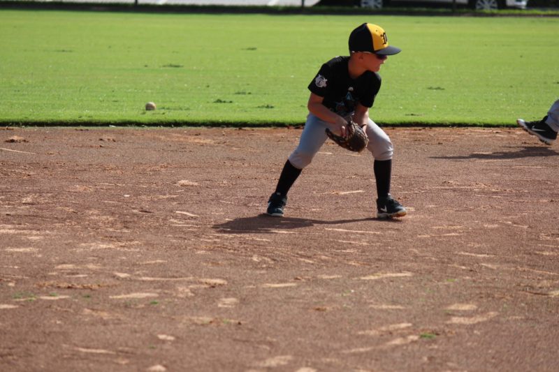 Baseball Fielding Training Davie Florida