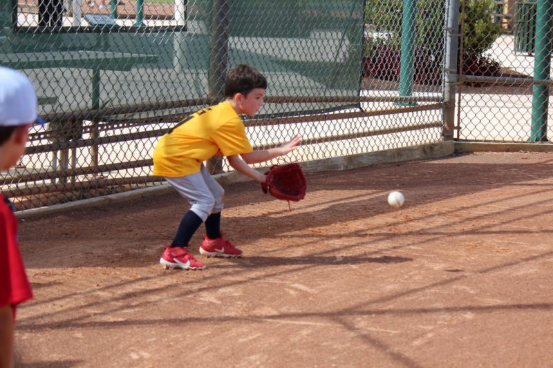 Baseball Fielding Instruction Davie Florida