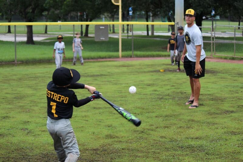 Baseball Hitting Bat Plane